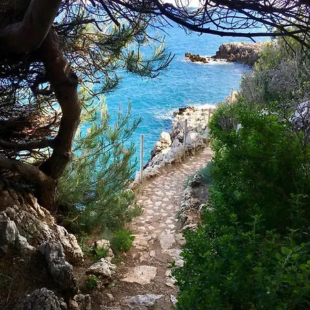 Artistic Lejlighed *